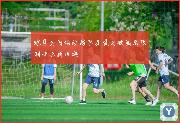 球员为何纷纷跨界发展打破圈层限制寻求新机遇