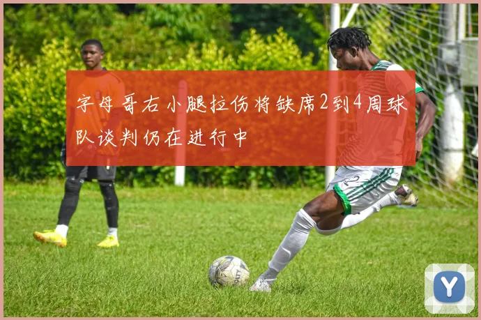字母哥右小腿拉伤将缺席2到4周球队谈判仍在进行中